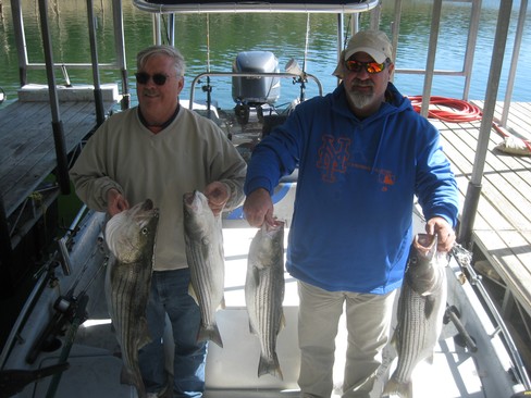 Nice Striped Bass